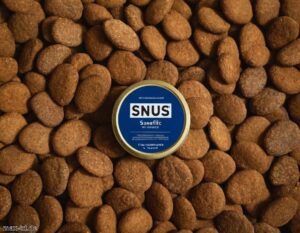 Snus – Der Duft von Skandinavien » Genuss oder Risiko?